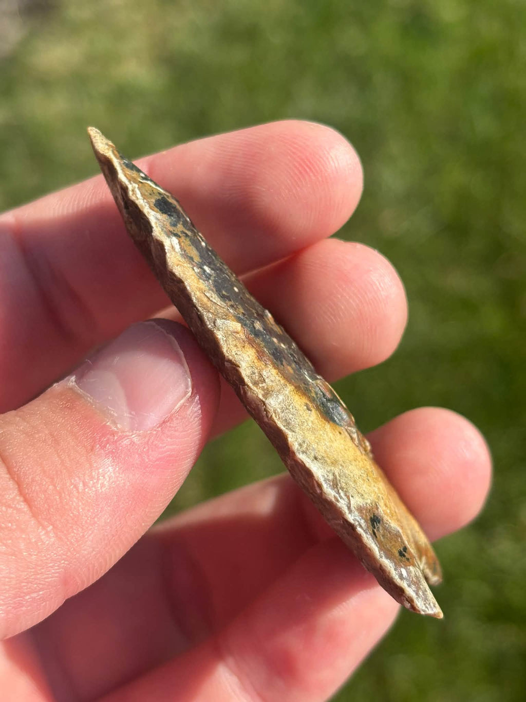 Side profile of the River Candy Clovis showing the point's thin edge and thickness.