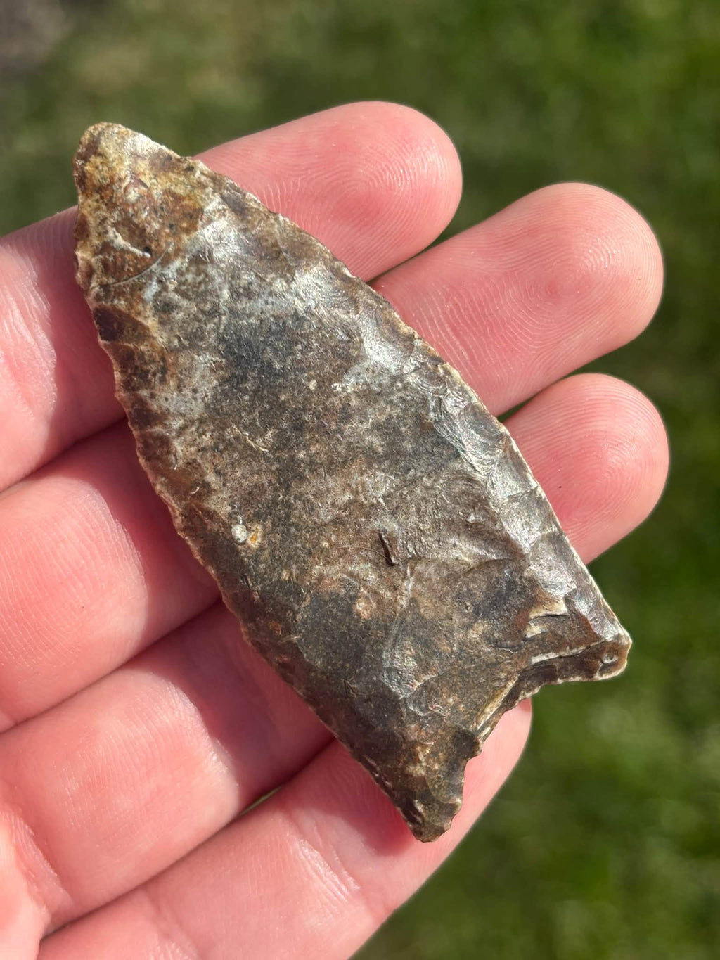Reverse face of the River Candy Clovis, showing gray-brown stone and flake scars from tip to base.