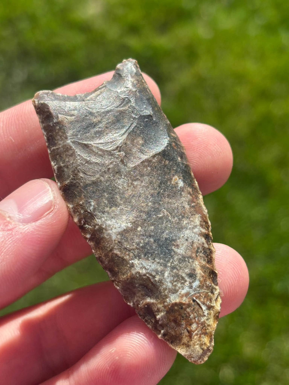 Another view of the River Candy Clovis reverse face in sunlight, with the concave base uppermost.