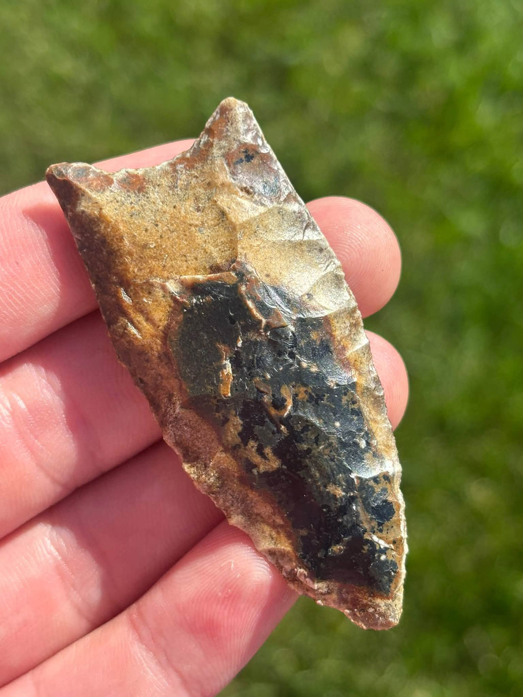 River Candy Clovis held with its concave base upward, showing the gold and dark stone coloration.