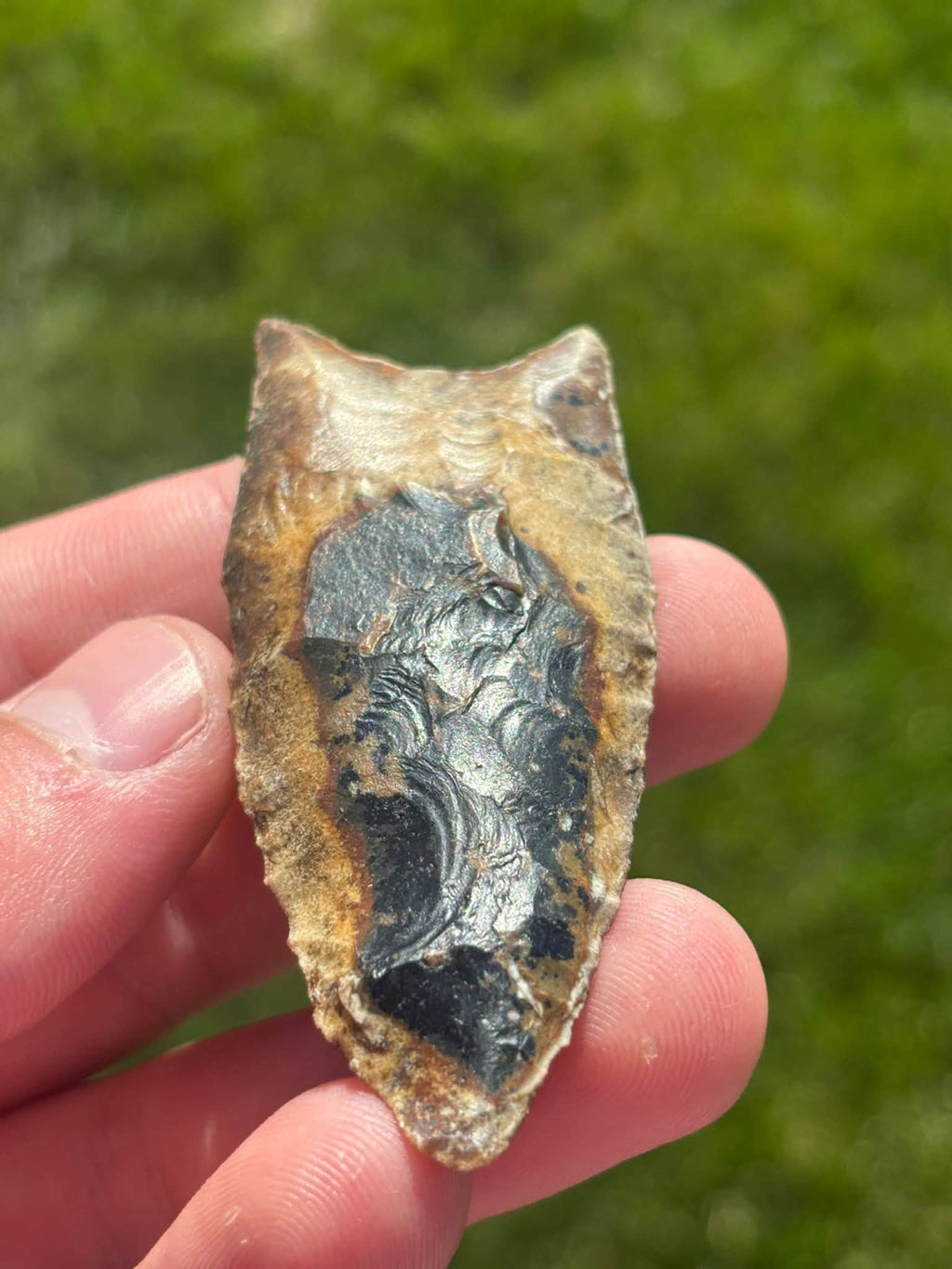 Full face of the River Candy Clovis held tip downward, showing the long central flute and golden-brown border.