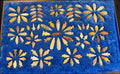 Whole Frame of Caddo Bird Points