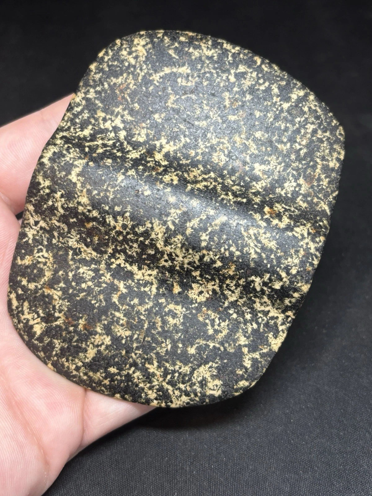 Speckled black and white bannerstone from Crawford County, Missouri — view 1