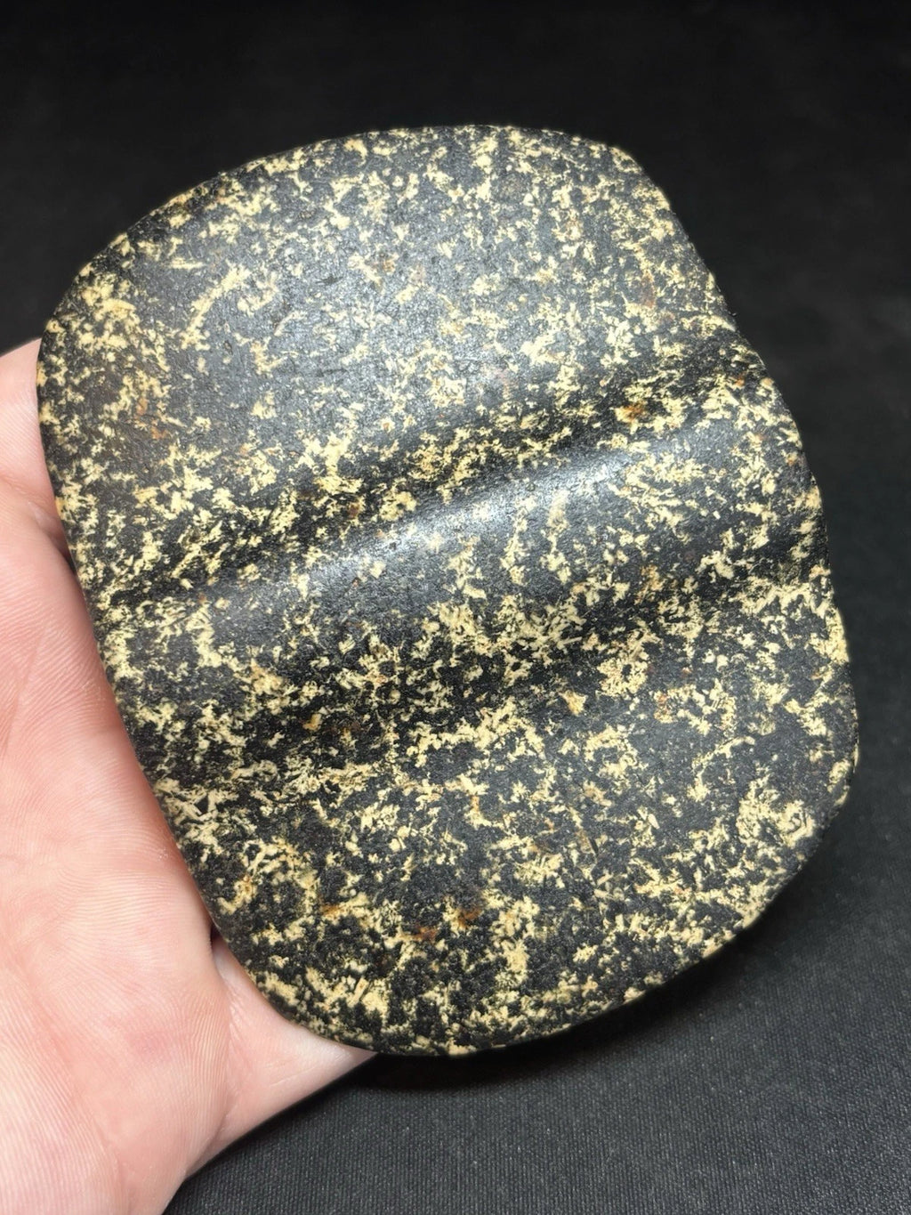 Speckled black and white bannerstone from Crawford County, Missouri — view 3