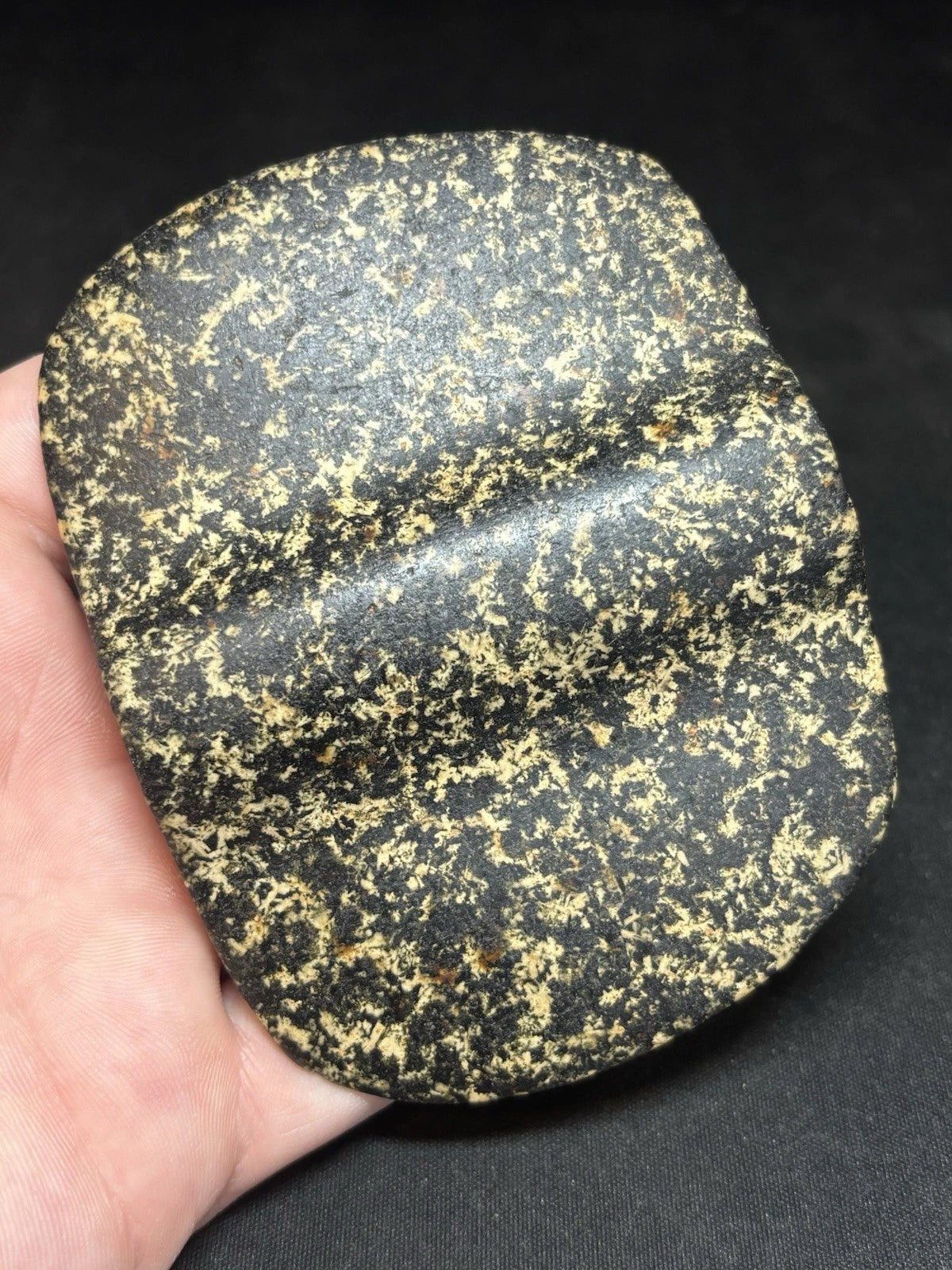 Speckled black and white bannerstone from Crawford County, Missouri — view 3