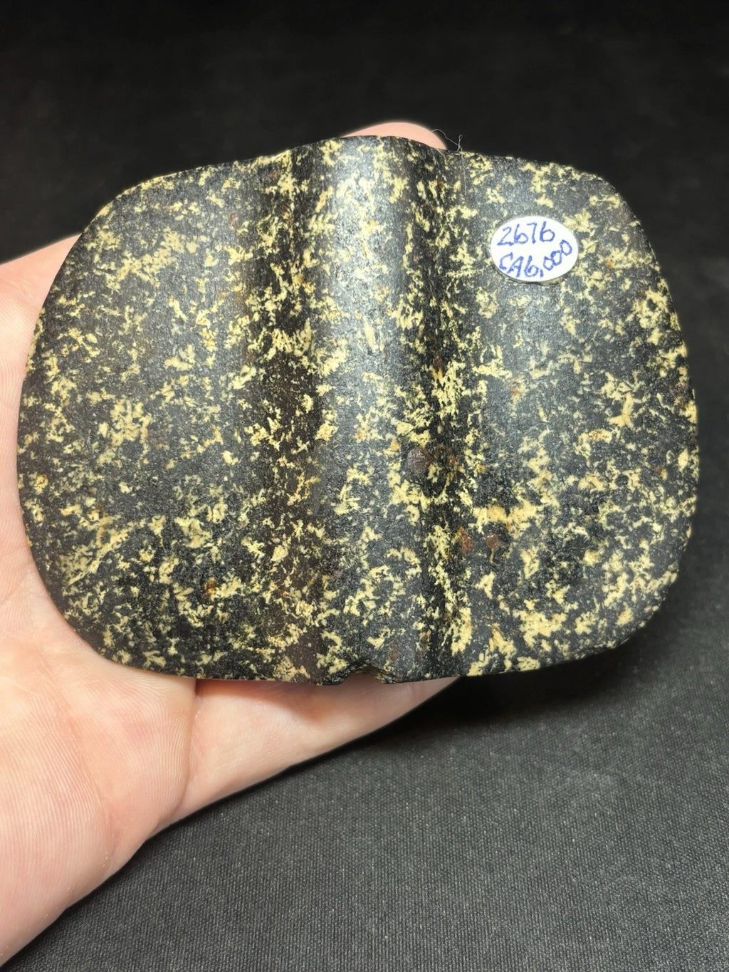 Speckled black and white bannerstone from Crawford County, Missouri — view 5