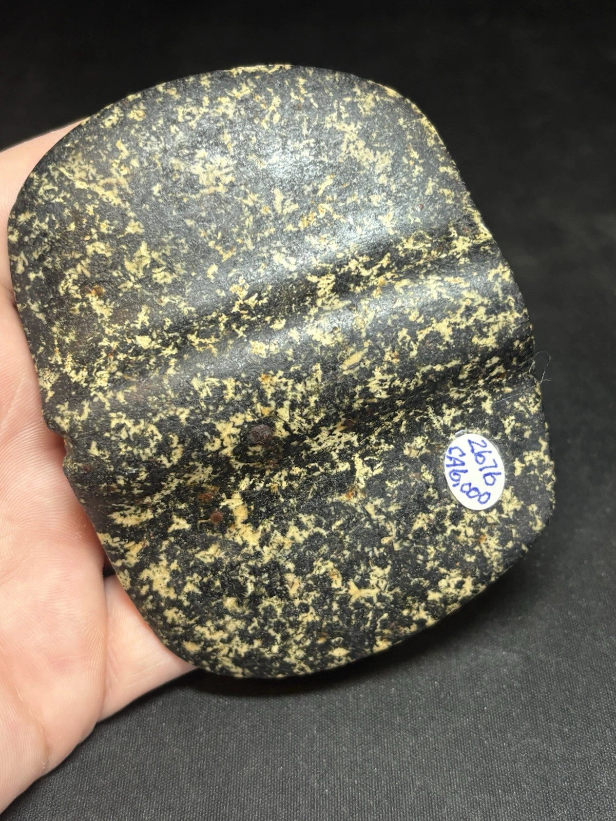 Speckled black and white bannerstone from Crawford County, Missouri — view 6