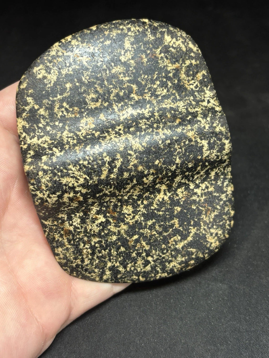 Speckled black and white bannerstone from Crawford County, Missouri — view 7