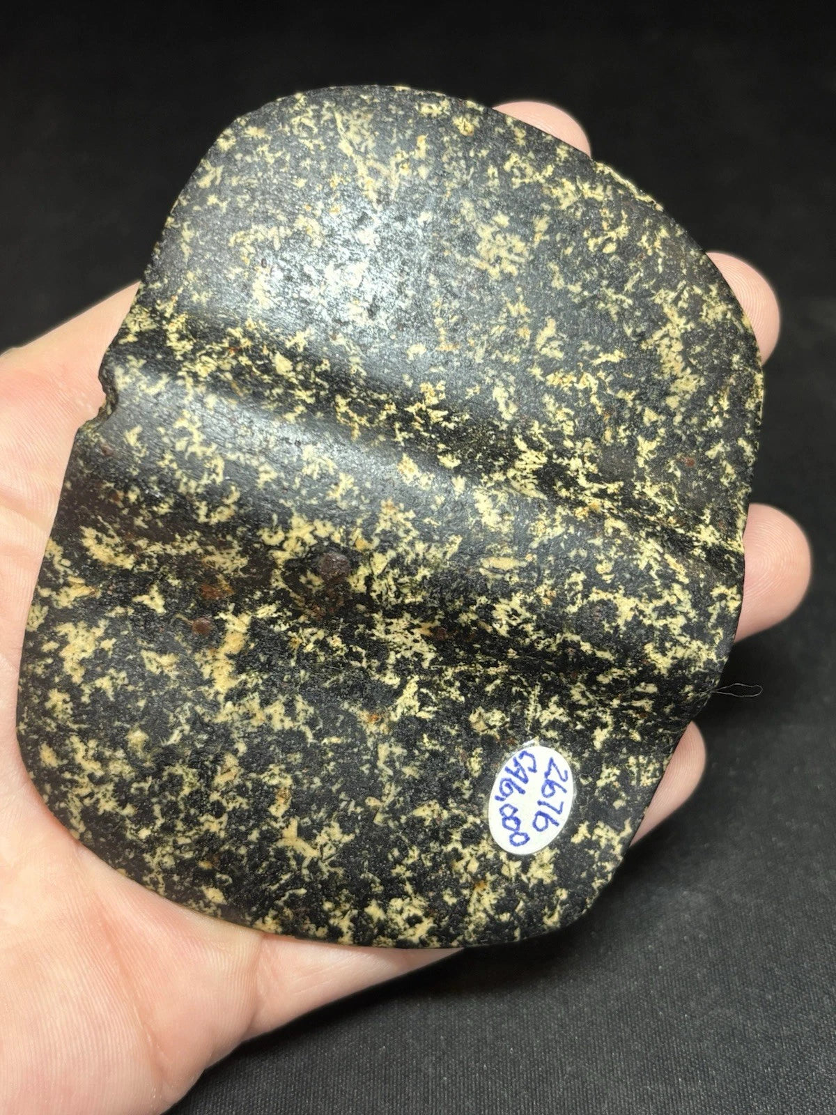 Speckled black and white bannerstone from Crawford County, Missouri — view 10