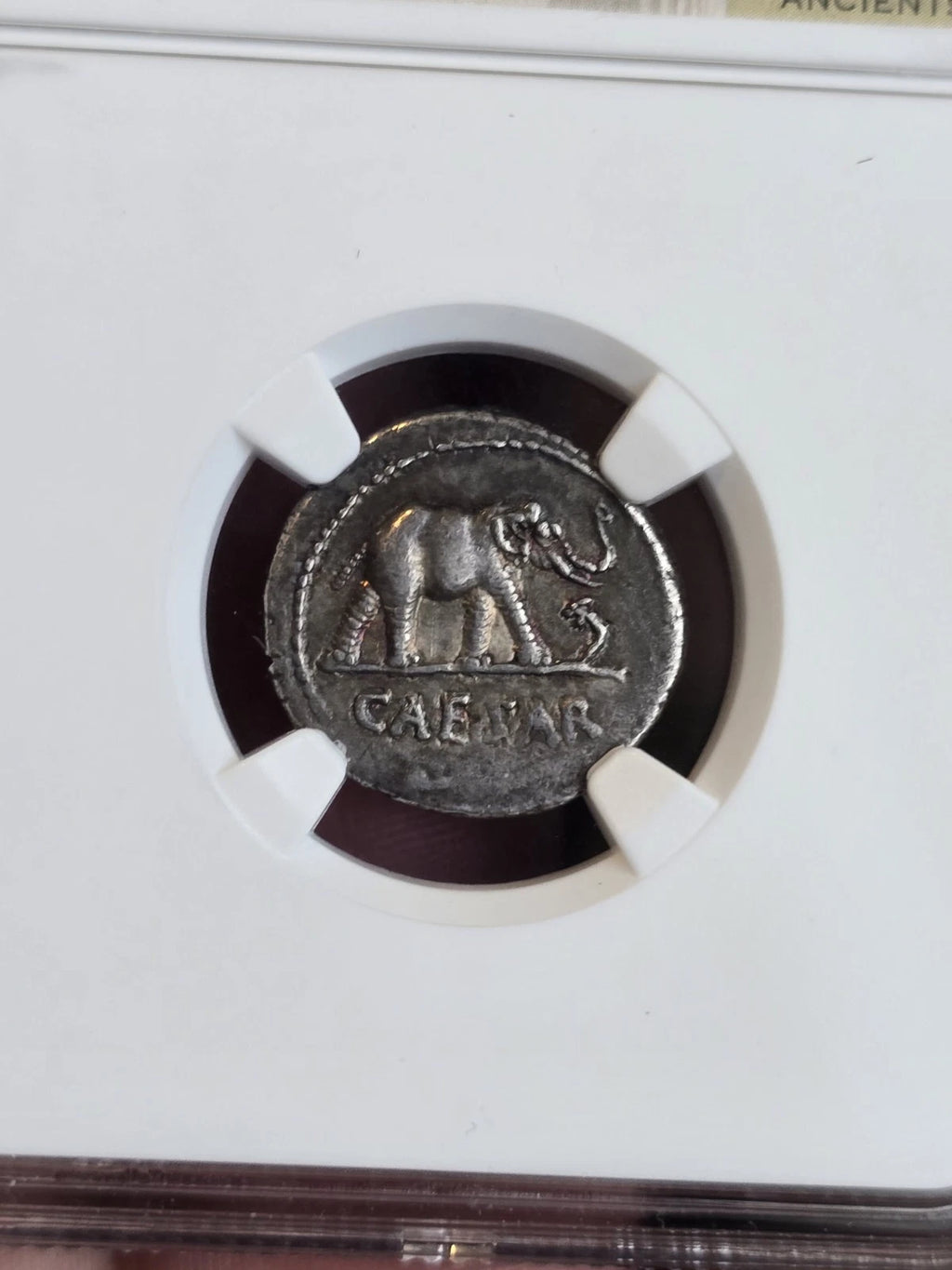 Julius Caesar AR Denarius — Elephant & Snake, NGC Ch VF