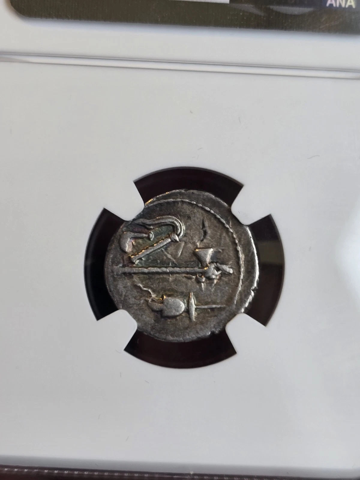Julius Caesar AR Denarius — Elephant & Snake, NGC Ch VF — view 4