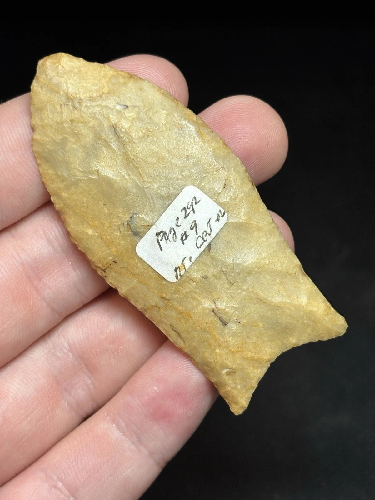 2 13/16″ Paleo Simpson — Florida — view 2