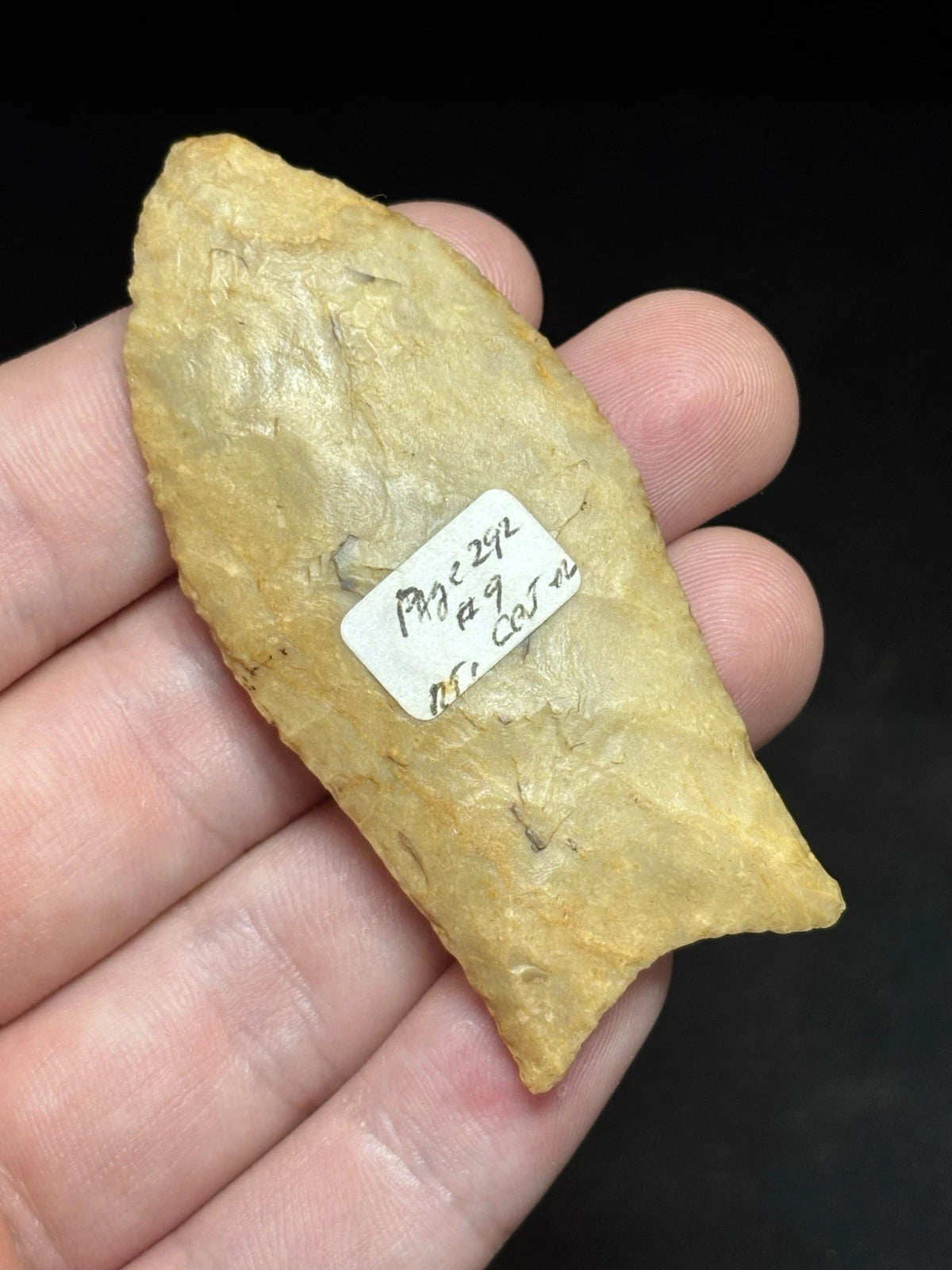 2 13/16″ Paleo Simpson — Florida — view 7
