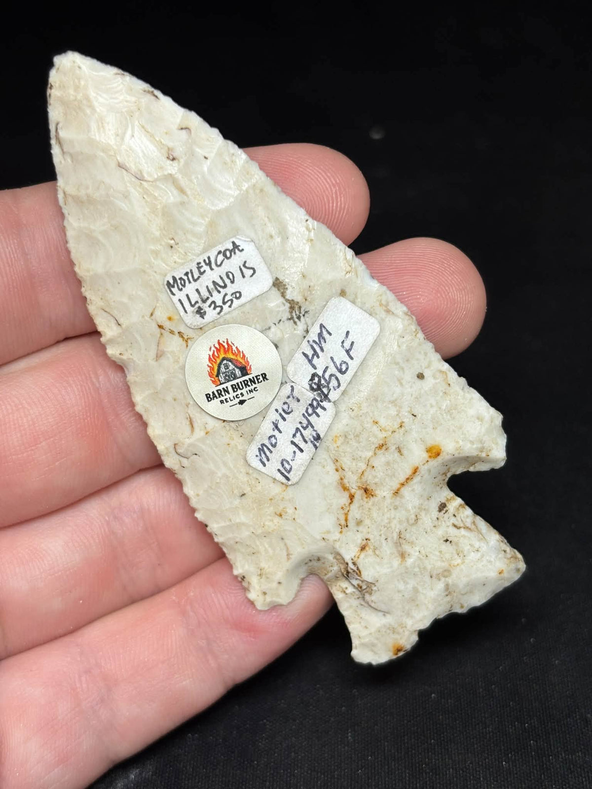 3⅝″ Burlington Chert Hardin — Illinois — photo 3