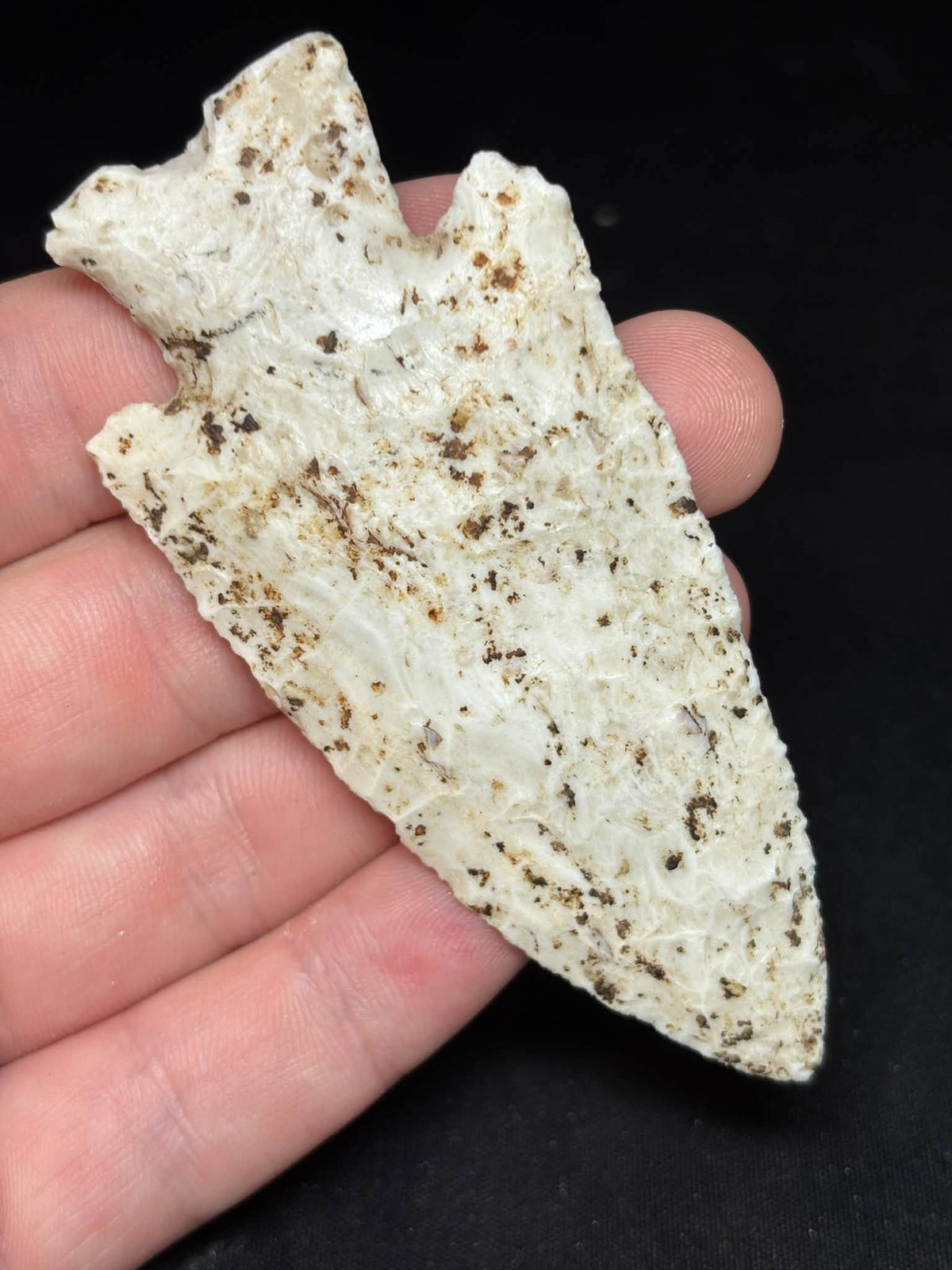 3⅝″ Burlington Chert Hardin — Illinois — photo 4