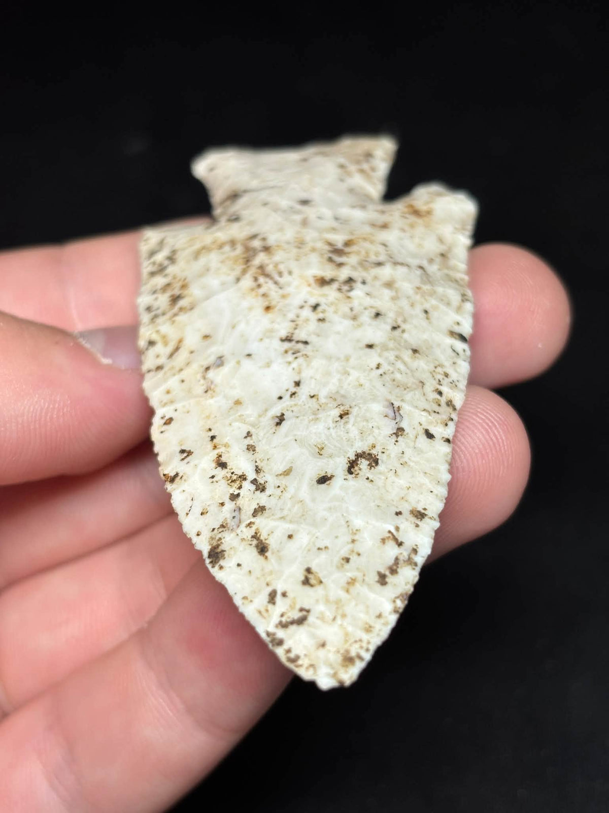 3⅝″ Burlington Chert Hardin — Illinois — photo 5