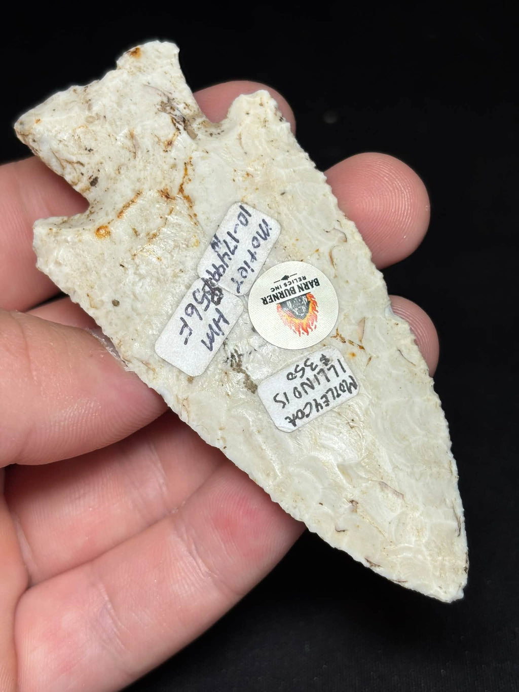 3⅝″ Burlington Chert Hardin — Illinois — photo 6