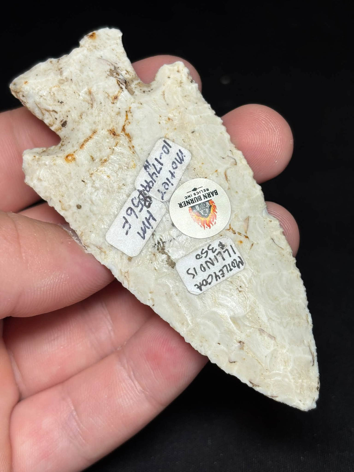 3⅝″ Burlington Chert Hardin — Illinois — photo 6