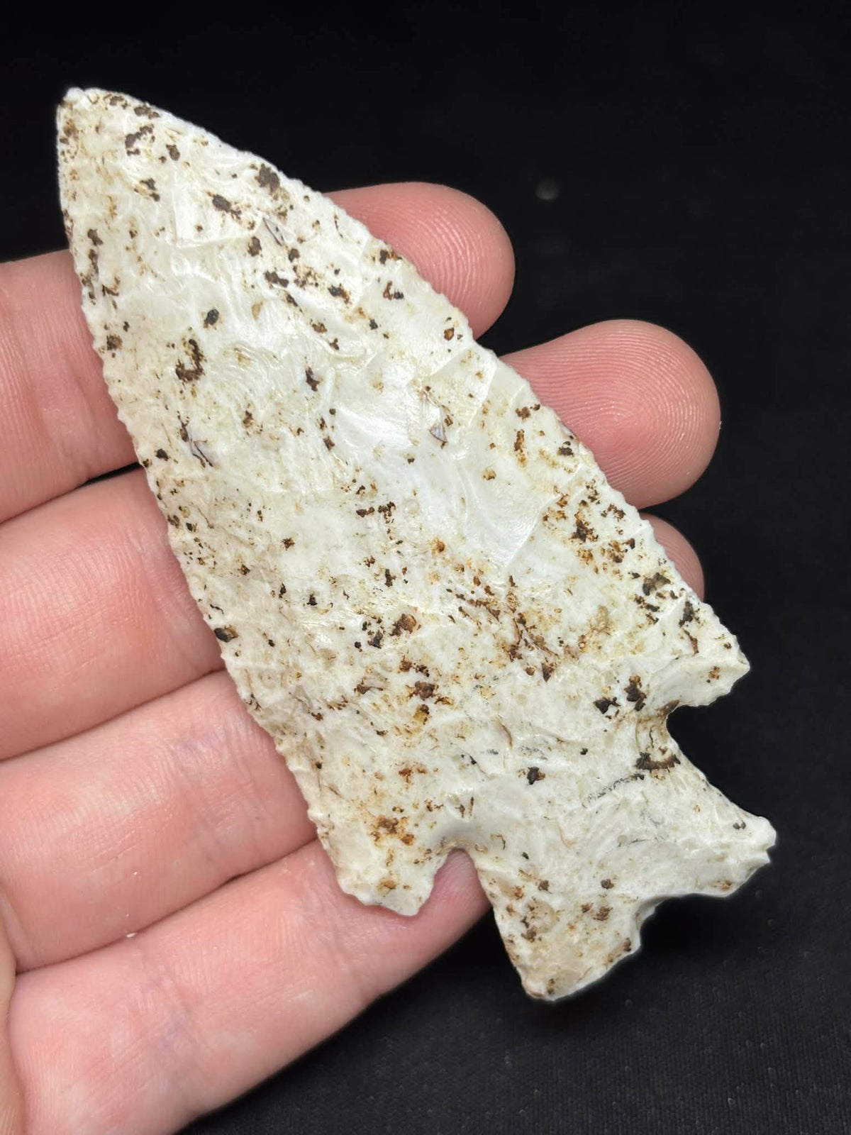 3⅝″ Burlington Chert Hardin — Illinois — photo 8