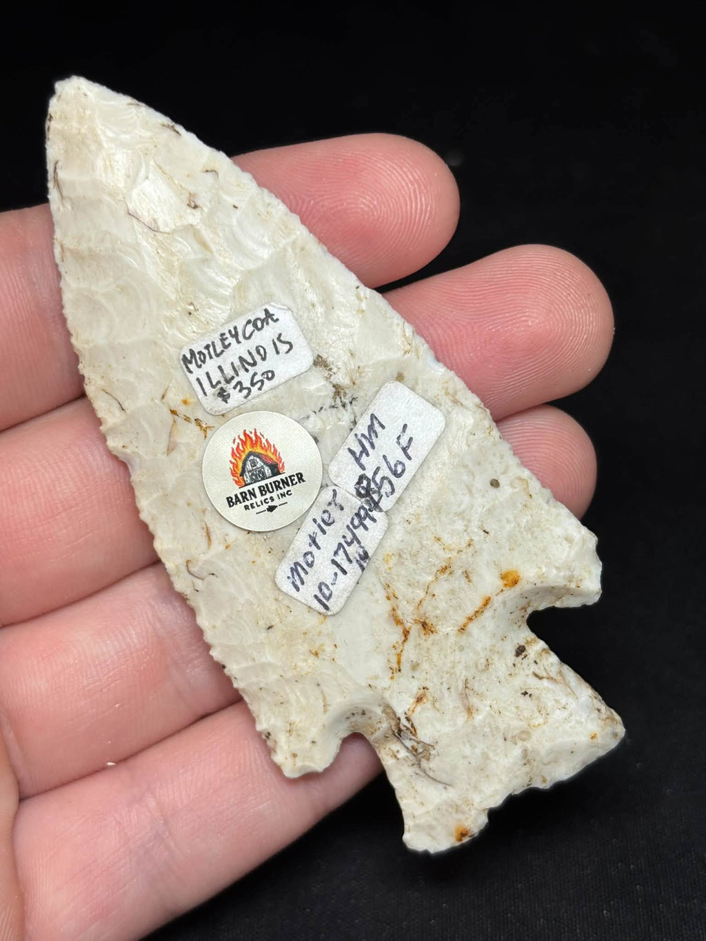 3⅝″ Burlington Chert Hardin — Illinois — photo 9