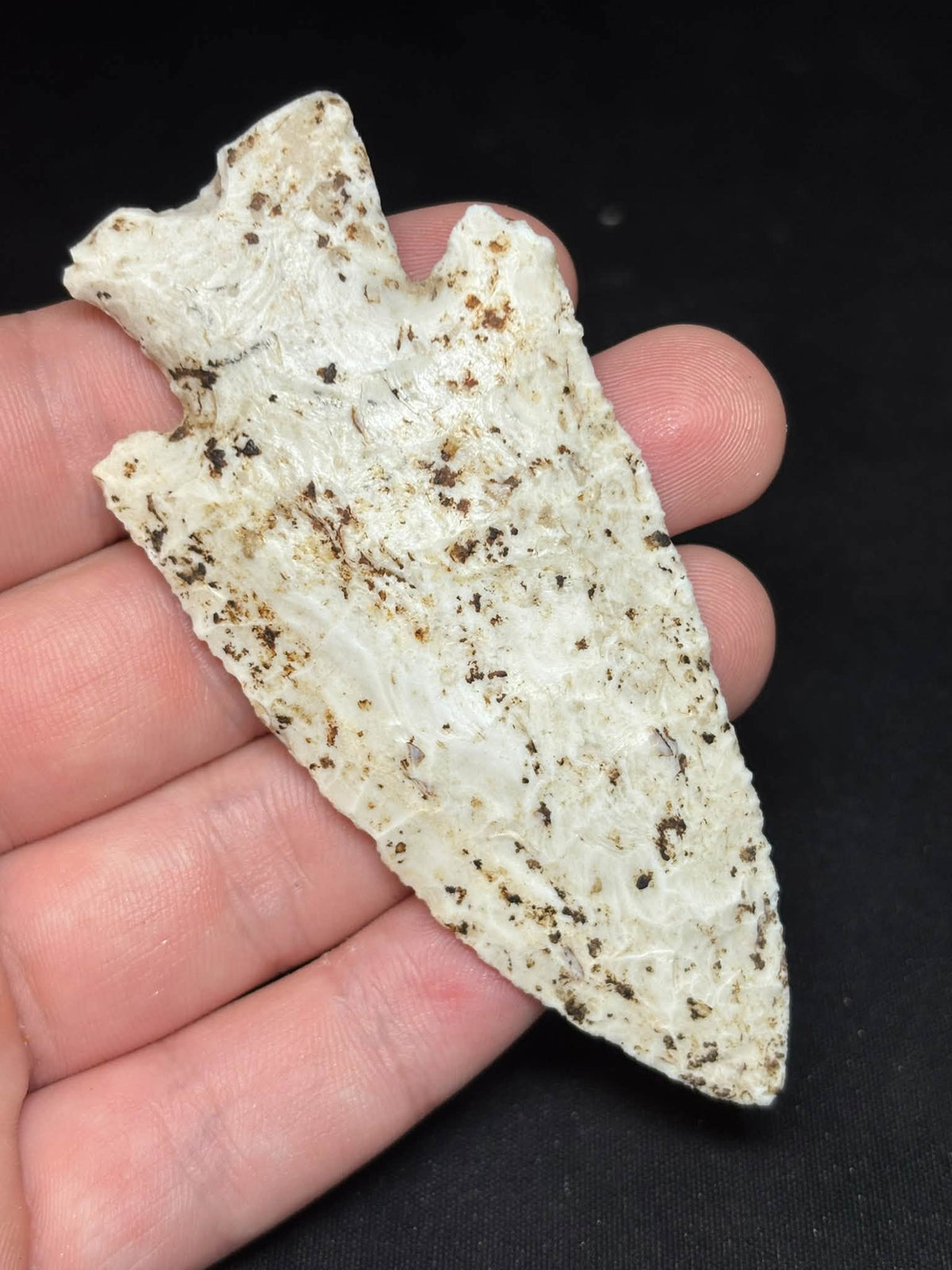 3⅝″ Burlington Chert Hardin — Illinois — photo 10