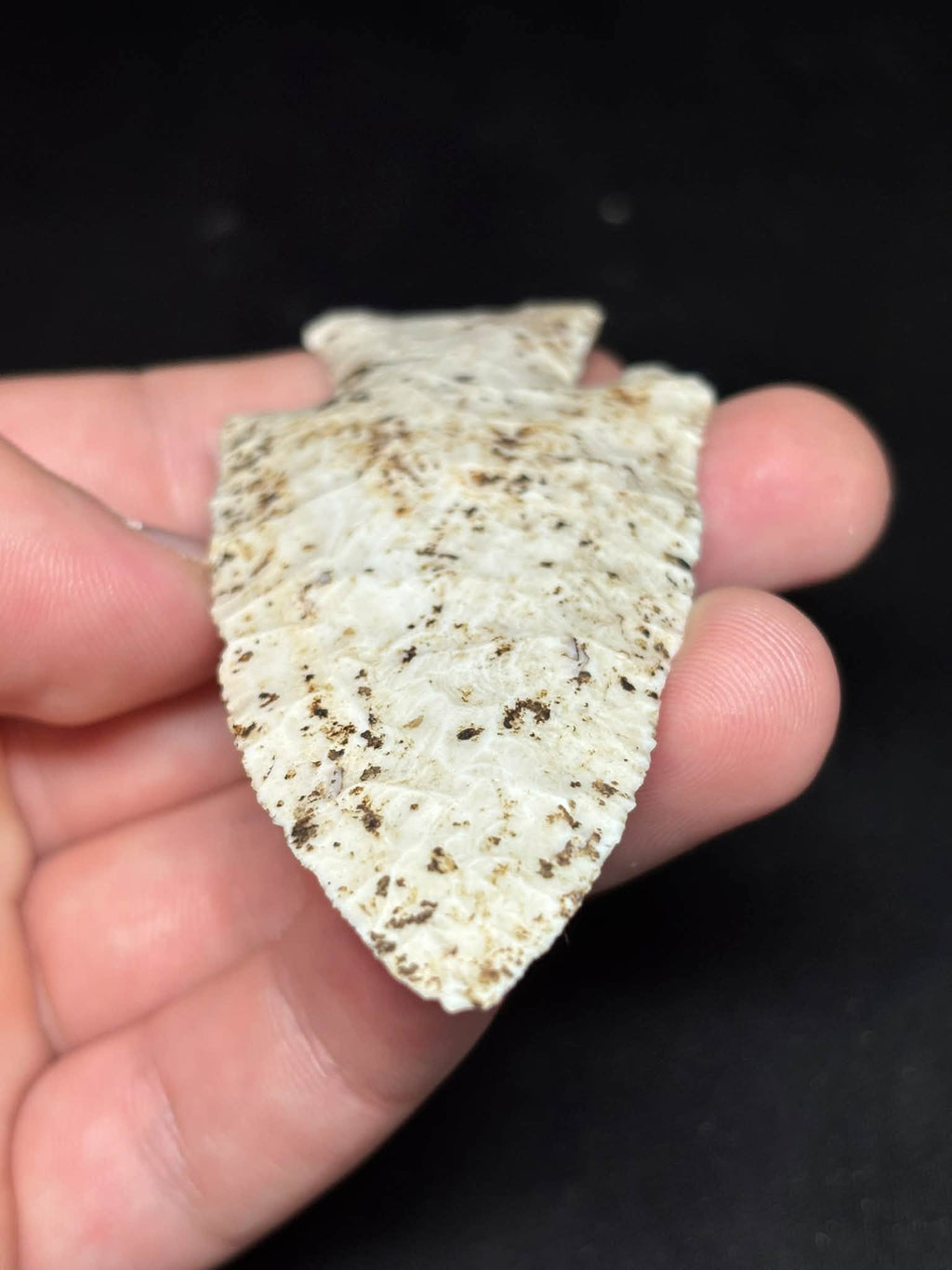 3⅝″ Burlington Chert Hardin — Illinois — photo 12