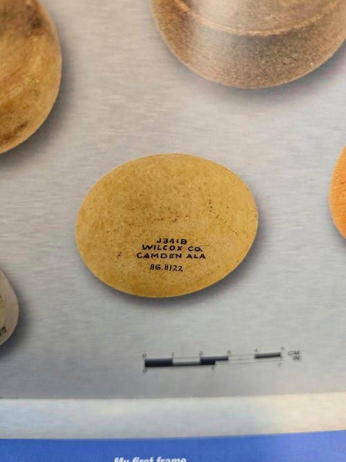 2¼″ Quartz Biscuit Discoidal — Wilcox Co., AL — photo 2