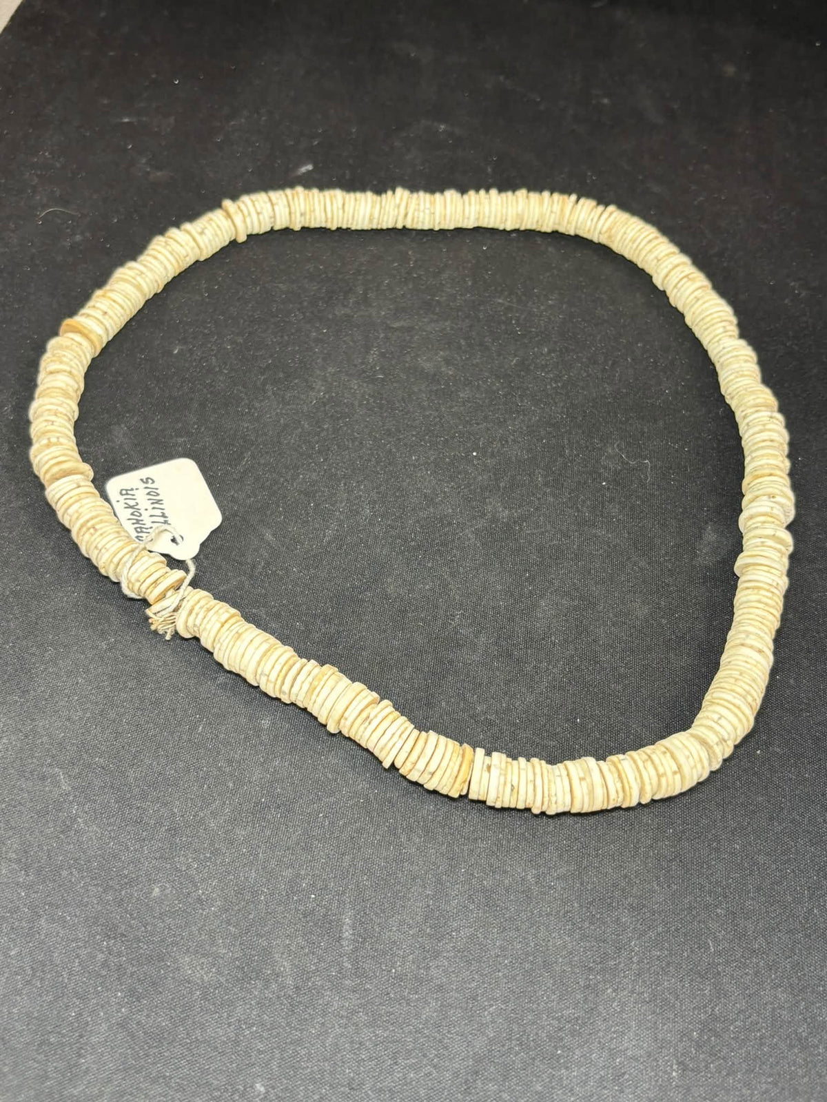 22″ Cahokia Shell Disc Bead Strand — Illinois — photo 1