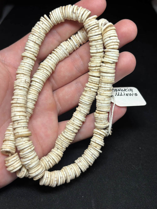 22″ Cahokia Shell Disc Bead Strand — Illinois — photo 2