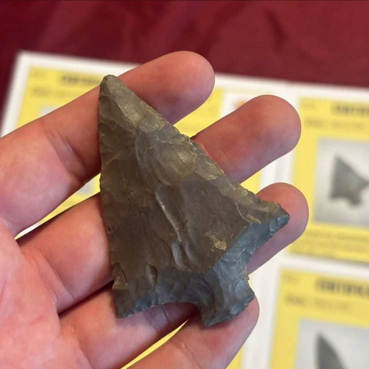 Dark stone point from the four-piece papered lot, held in a hand to show its broad notched base and flaked surface.