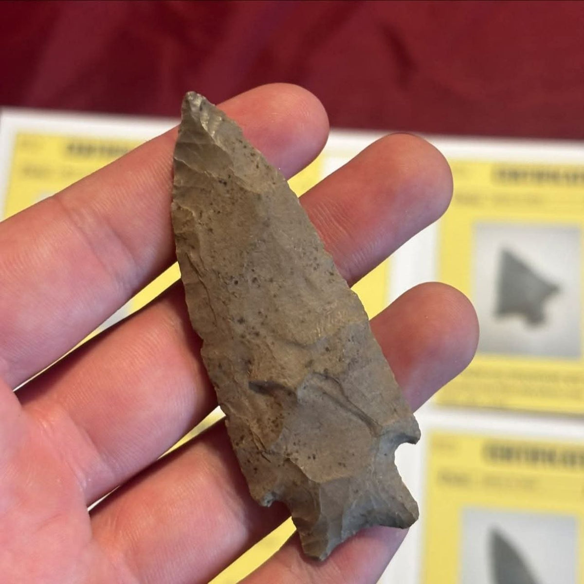 Brown stone point from the four-piece papered lot, held upright to show its elongated shape and stemmed base.