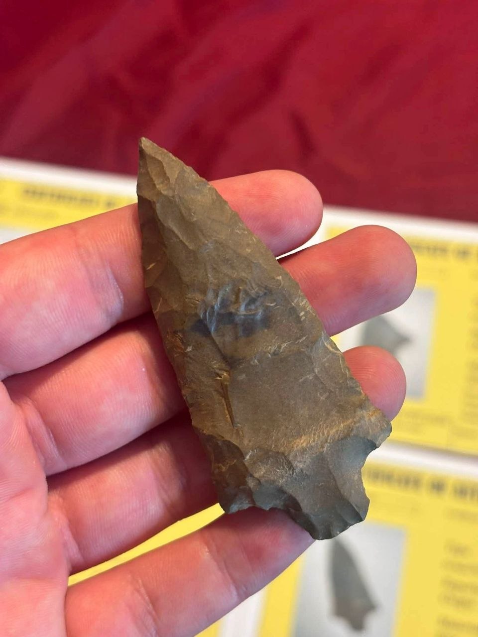Small brown stone point from the four-piece papered lot, shown in a hand with dark banding across its face.
