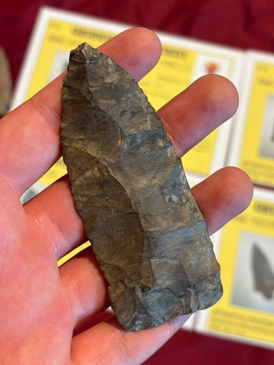 Long dark stone preform from the four-piece papered lot, held upright with its certificate behind it.