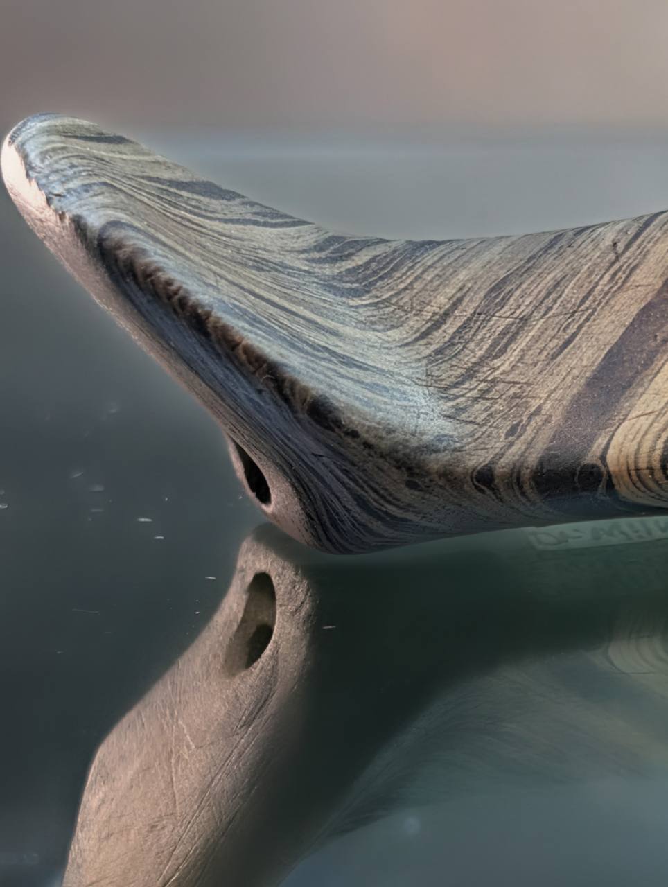Close view of the birdstone's curved tail, stone banding, and rear basal hole